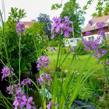 Schmetterlingsgarten By Interhome